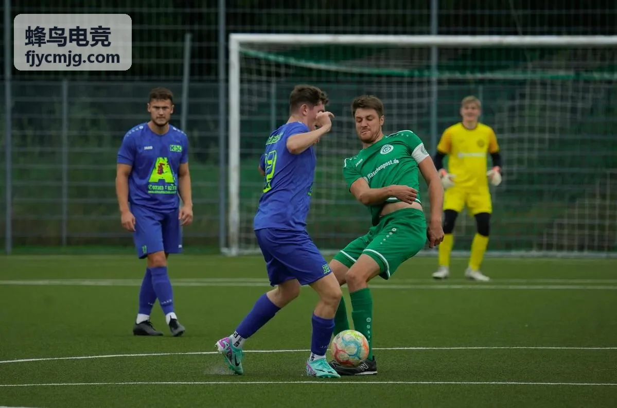 蜂鸟电竞云顶之弈
