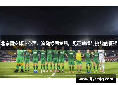 北京国安球迷心声：追随绿茵梦想，见证荣耀与挑战的征程