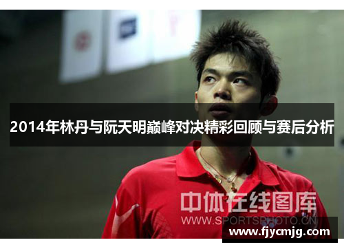 2014年林丹与阮天明巅峰对决精彩回顾与赛后分析