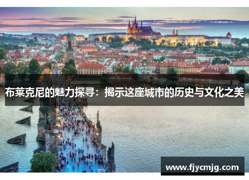 布莱克尼的魅力探寻：揭示这座城市的历史与文化之美